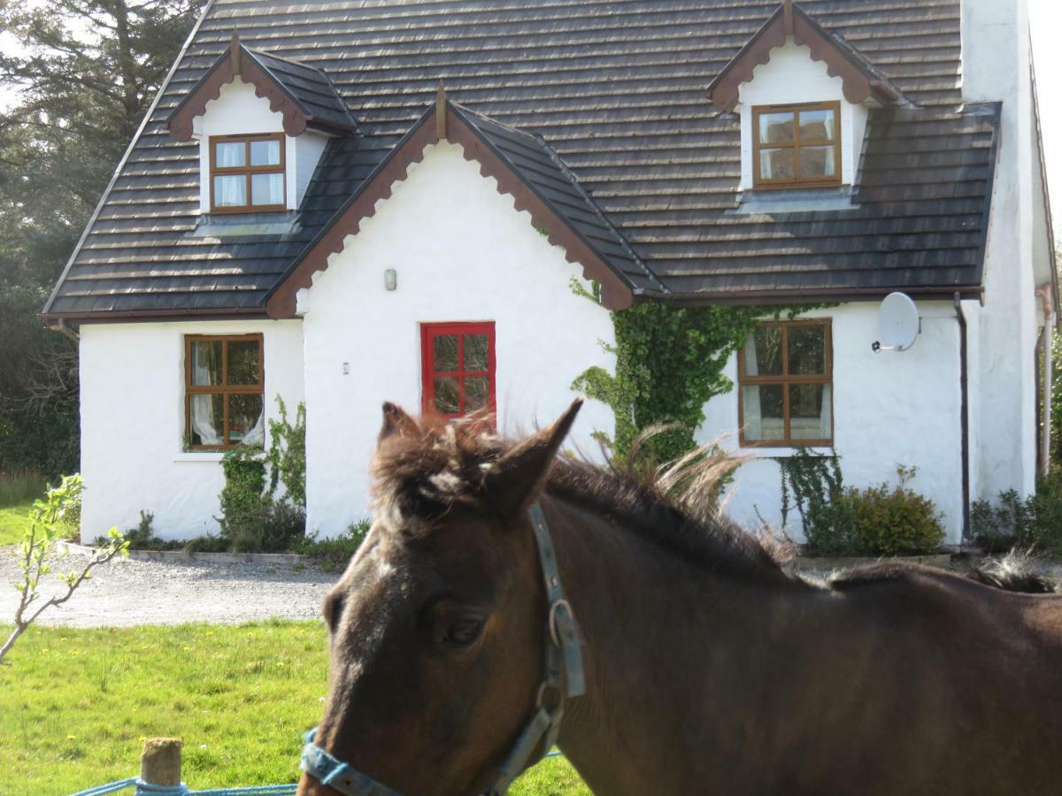 Letterfrack Mountain Farm Cottage On Farm In Village Centre Exterior foto